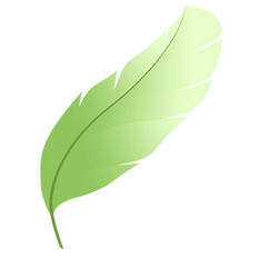 Miss Woadbyne's Bag of Wonders